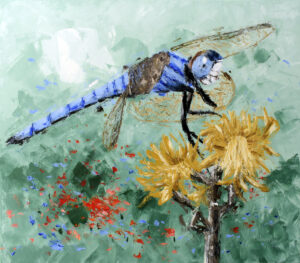 obraz Modrá magie, vážka sedící na květu, autor Lubosh Valenta